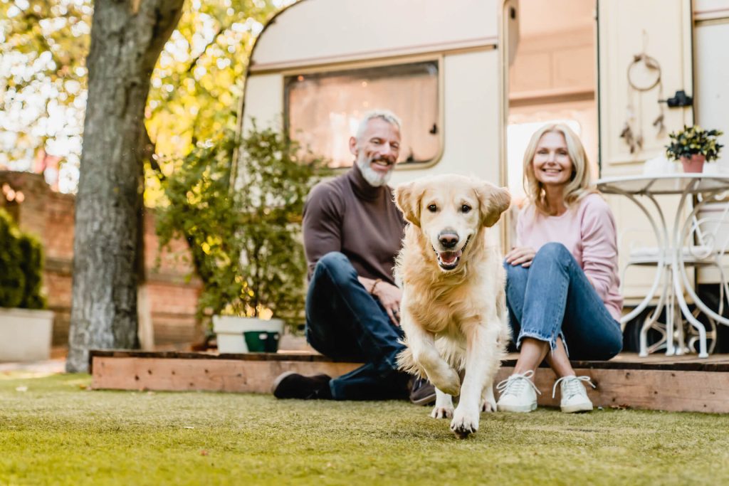 A family dog with a caravan